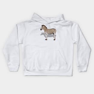 Zebra New Packaging Kids Hoodie